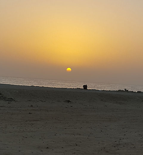 Fins Beach - An Ode To The Nature • FACES Oman