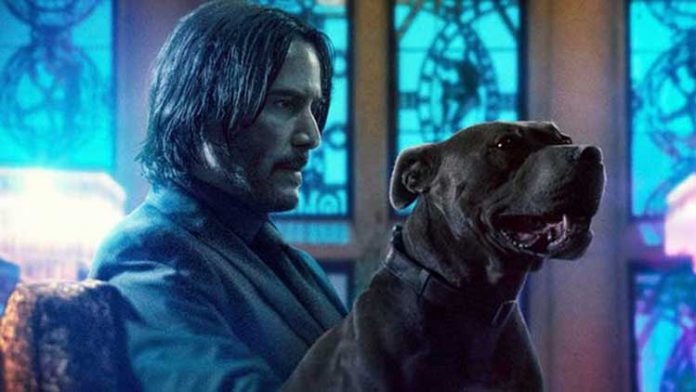 Legendary hit man John Wick must fight his way out of New York when a $14 million contract on his life makes him the target of the world's top assassins in John Wick: Chapter 3 - Parabellum