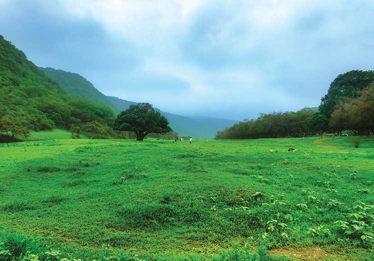 Salalah Khareef Festival