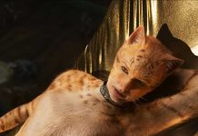 Cats!!! Well, Adios… For Now Cats