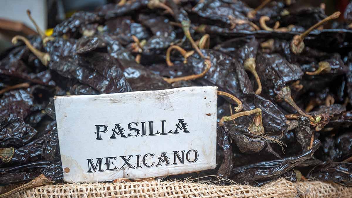 Pasilla de Oaxaca Chile