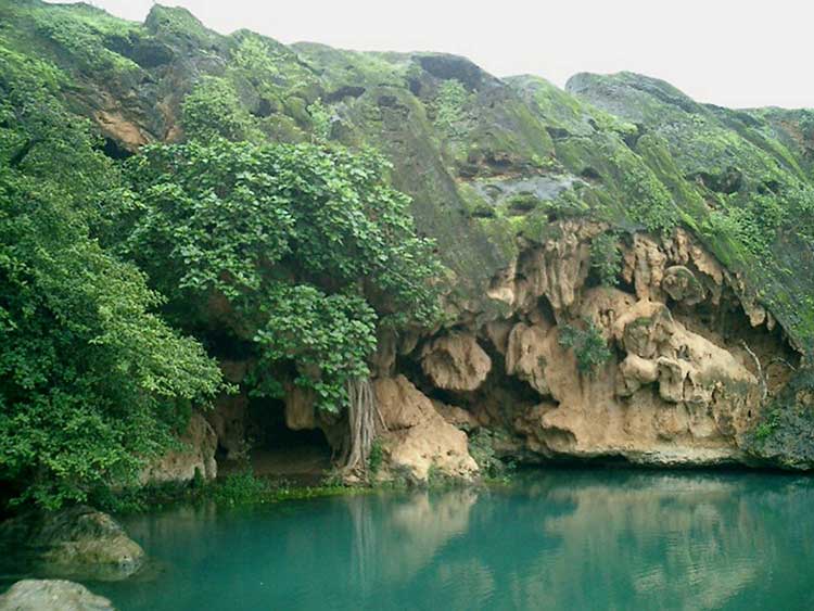 Salalah Tourism Festival