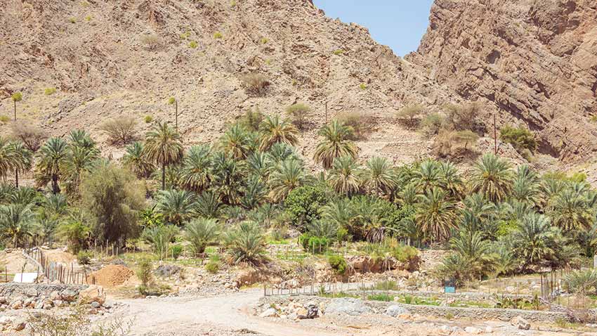 Wadi Arbaeen