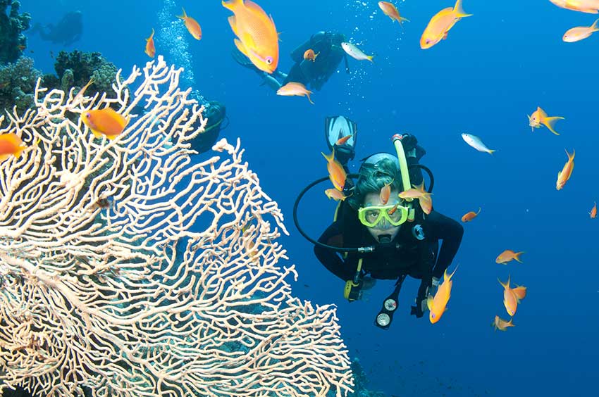 Australia’s Great Barrier Reef 