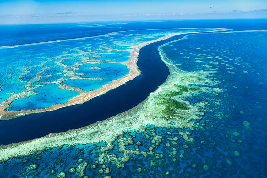 Australia’s Great Barrier Reef Experience