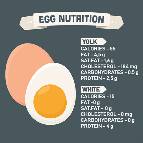 Eggs and Cholesterol