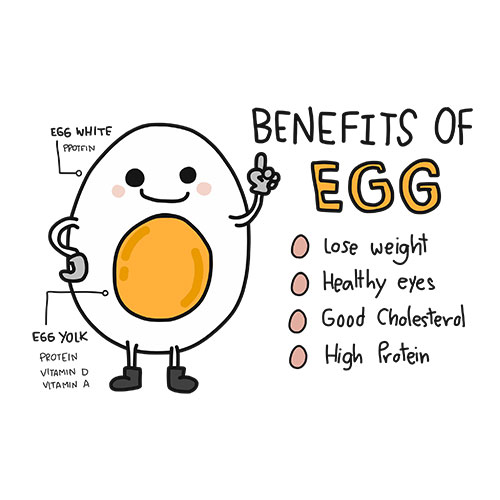 Eggs and Cholesterol