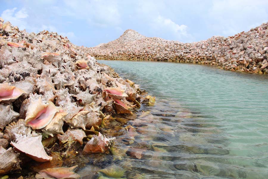 A view of the conch shell island Anegada