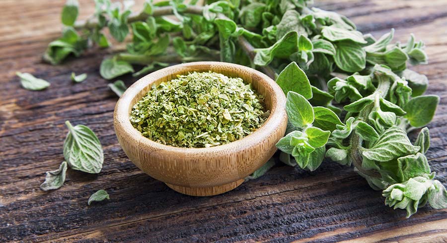 The fresh dried oregano herb is rich in antioxidants