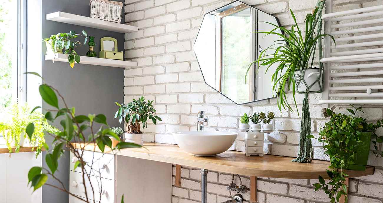 A modern bathroom with green plants