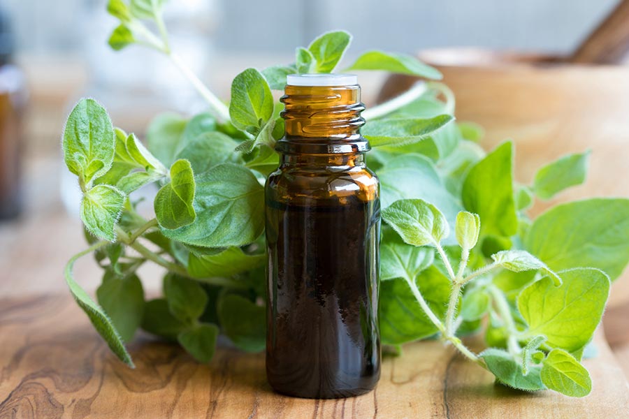 A bottle of oregano essential oil from fresh leaves