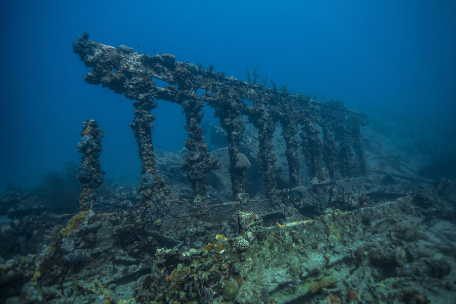 The shipwreck of RMS Rhone