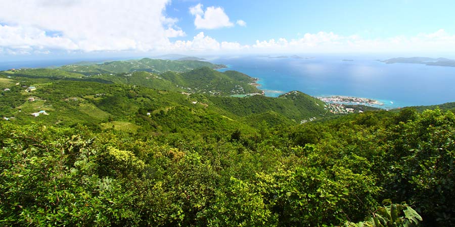 A view of tortola sage mountain national park